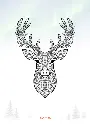 Sapmi.webp