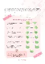 Cat_Medi_Origami.webp